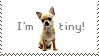 Stamp of chihuahua with the text I'm tiny!