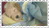 Stamp of sleeping golden retriever puppy