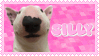 Glittery stamp of smiling bull terrier with the text SILLY