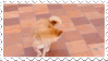 Stamp of shiba inu chasing its tail