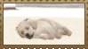 Stamp of nintendogs puppy golden retriever sleepily strecthing