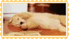 Stamp of puppy golden retriever pawing its face