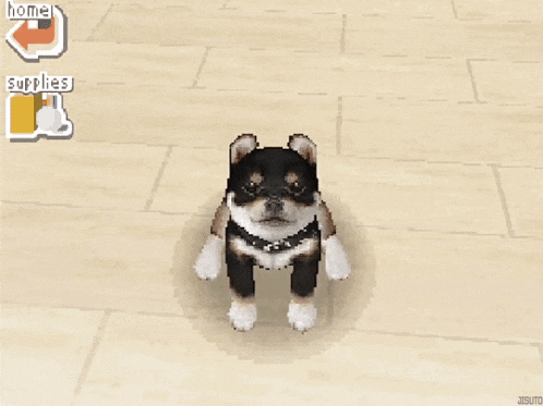 Gif of confused nintendogs shiba inu puppy