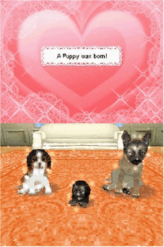 Glittery gif of a screenshot of Petz Dogz Pack Nintendo Ds game. The text A puppy was born lays on top of a heart, below this image is a picture of beagle and a german shepherd with their mixed puppy